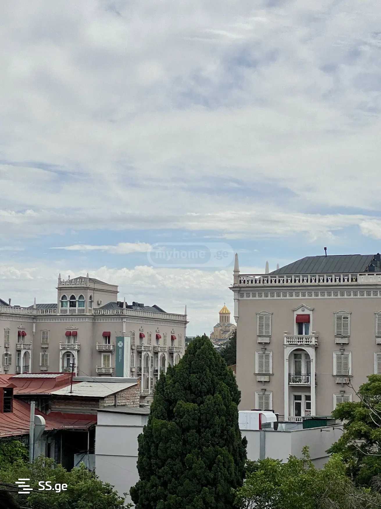 2 Room Flat Daily Rent. Chugureti view 10