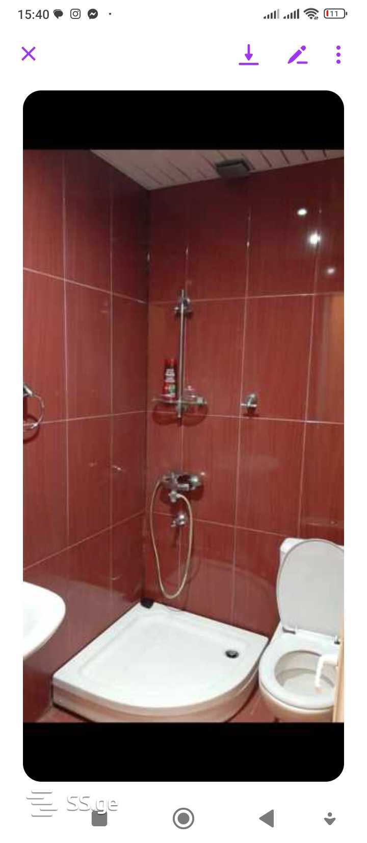 2 Room Flat For Rent. Kutaisi view 12