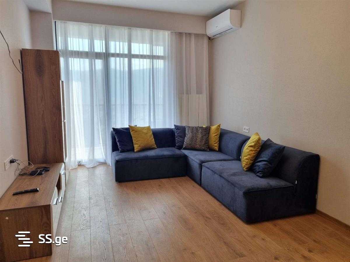2 Room Flat For Rent. Saburtalo view 1