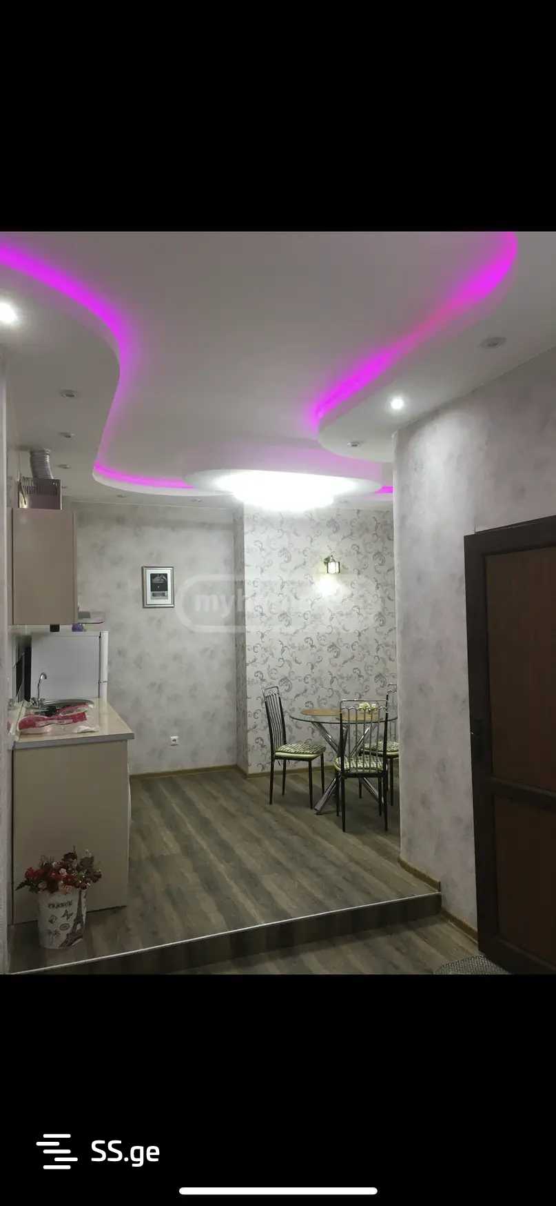1 Room Flat For Rent. Saburtalo view 3