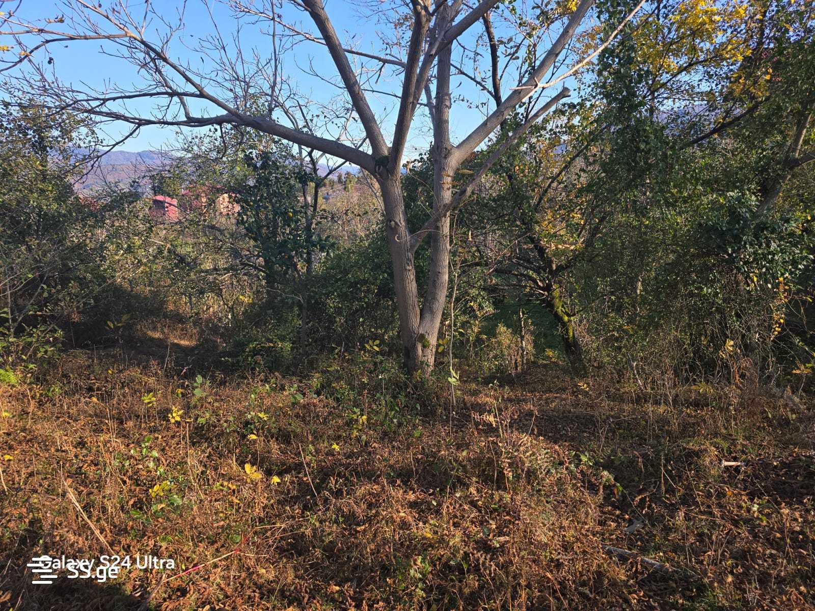 Land For Sale. Akhalsopeli view 9
