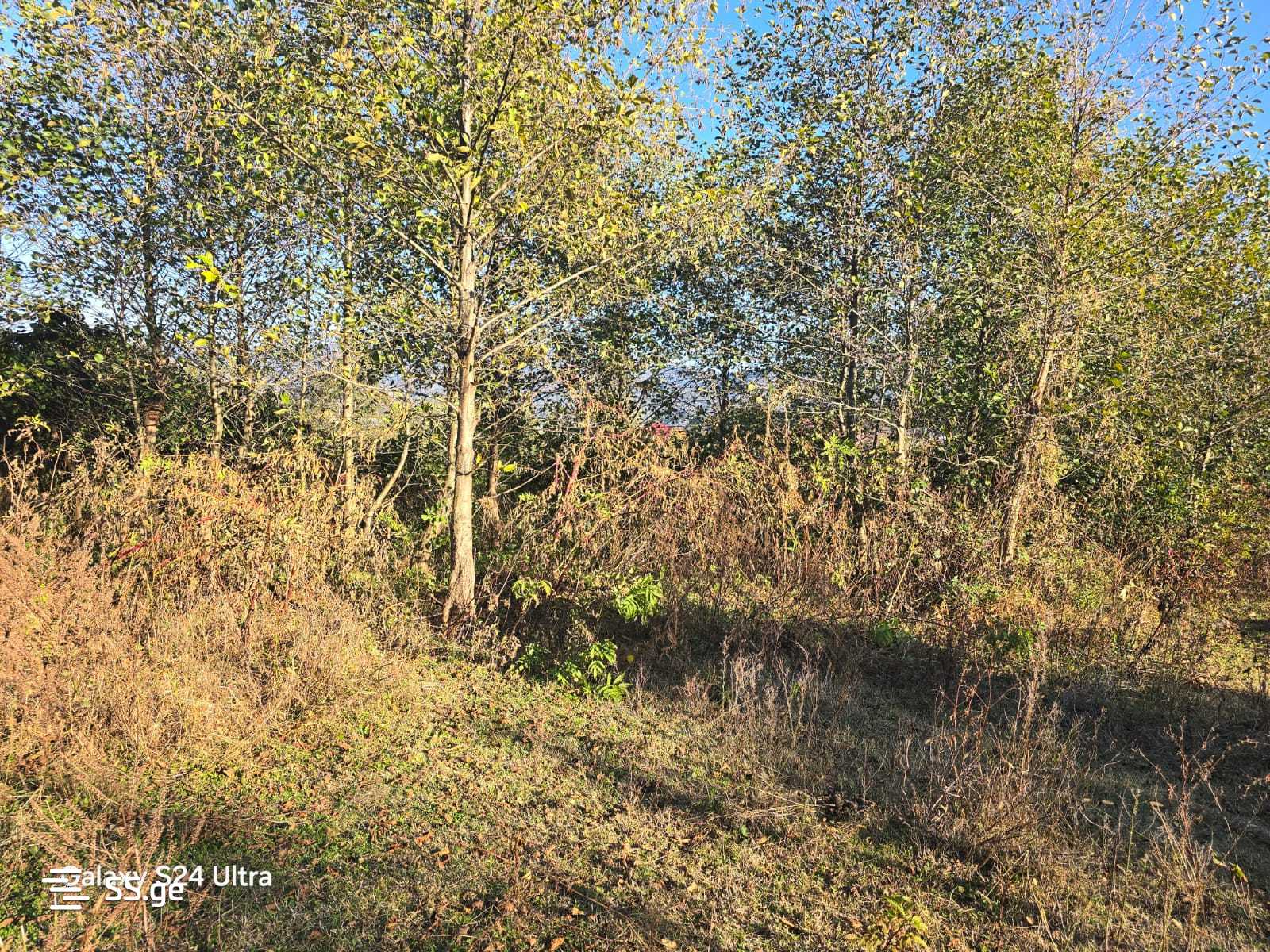 Land For Sale. Akhalsopeli view 11