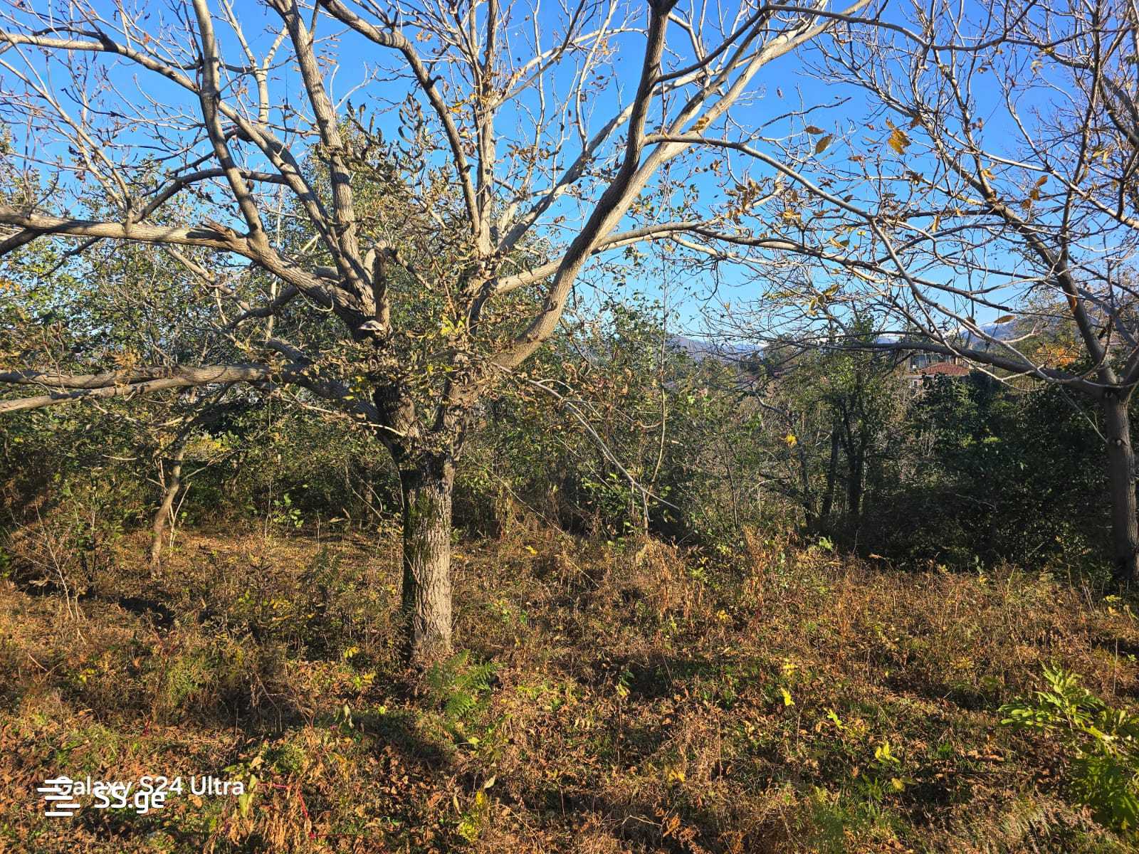 Land For Sale. Akhalsopeli view 8