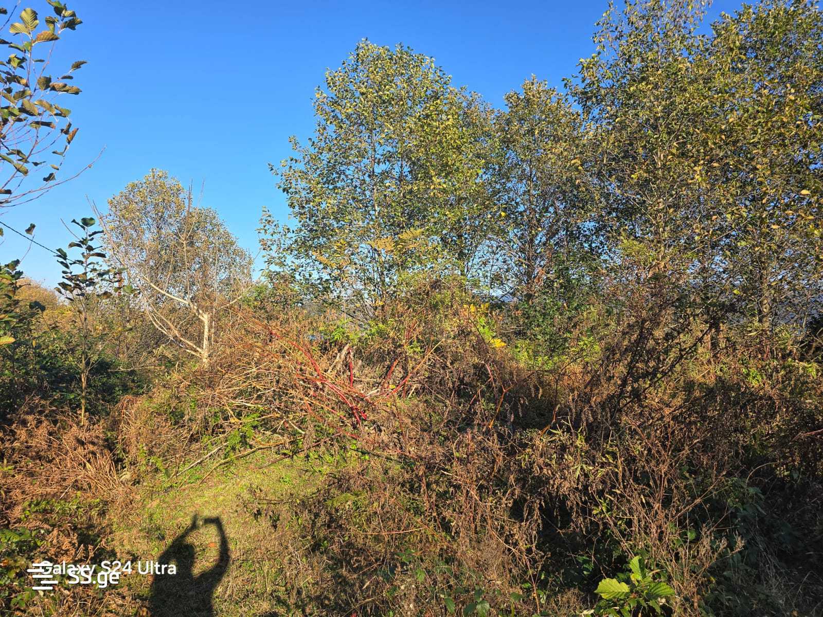Land For Sale. Akhalsopeli view 10