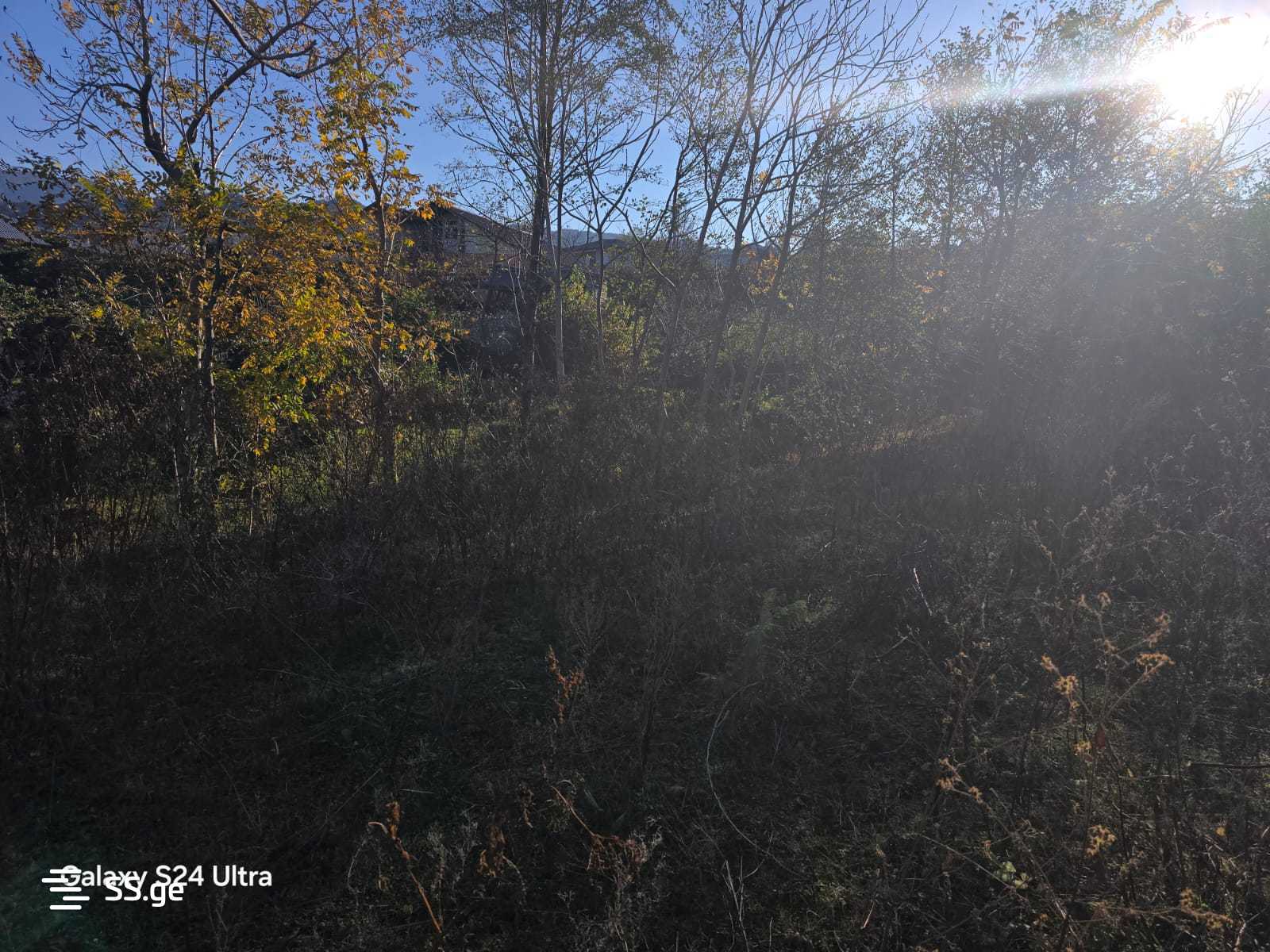 Land For Sale. Akhalsopeli view 5