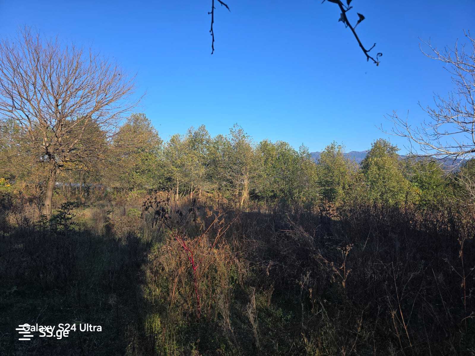 Land For Sale. Akhalsopeli view 4