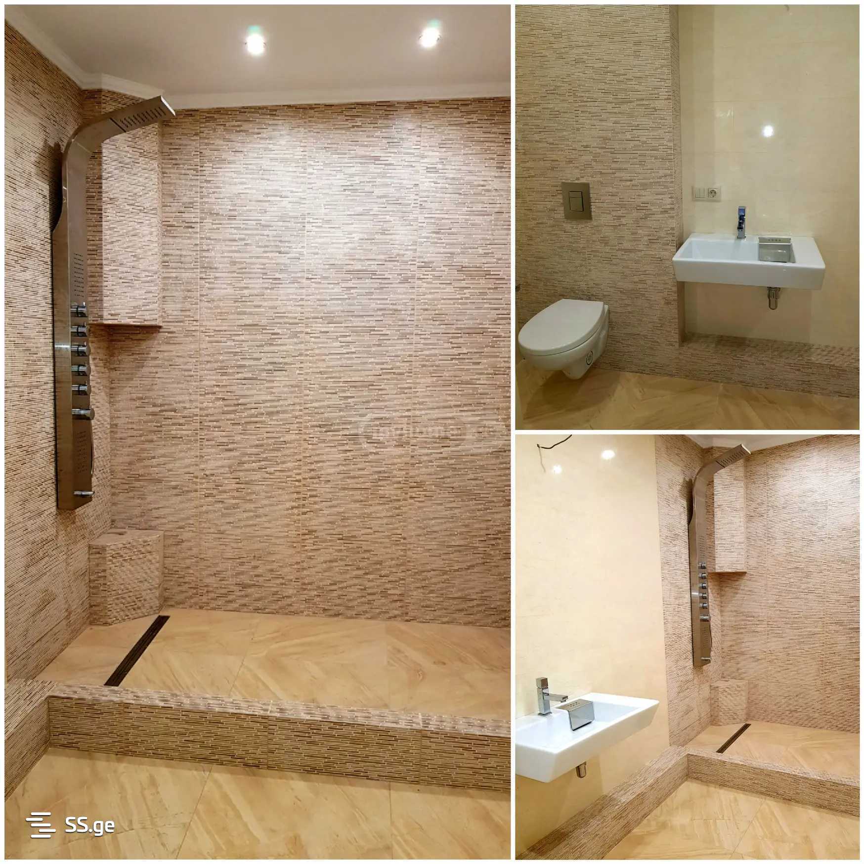 Private House For Rent. Digomi view 10