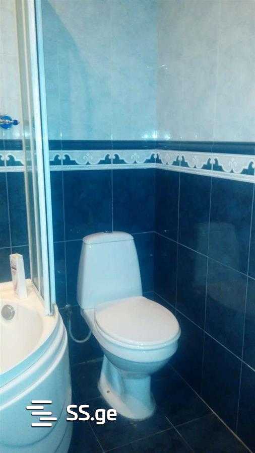 8 Room Private House For Rent. Saburtalo view 9