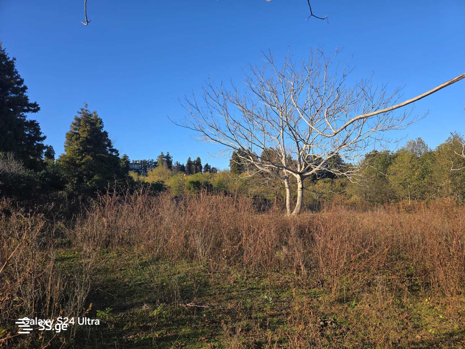 Land For Sale. Akhalsopeli view 6