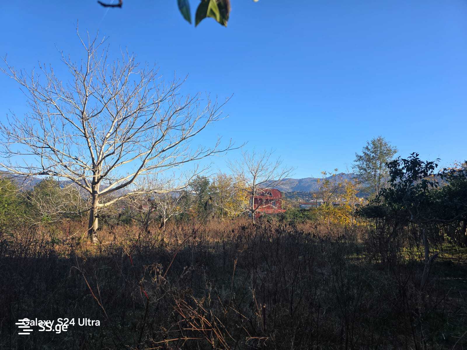 Land For Sale. Akhalsopeli view 2