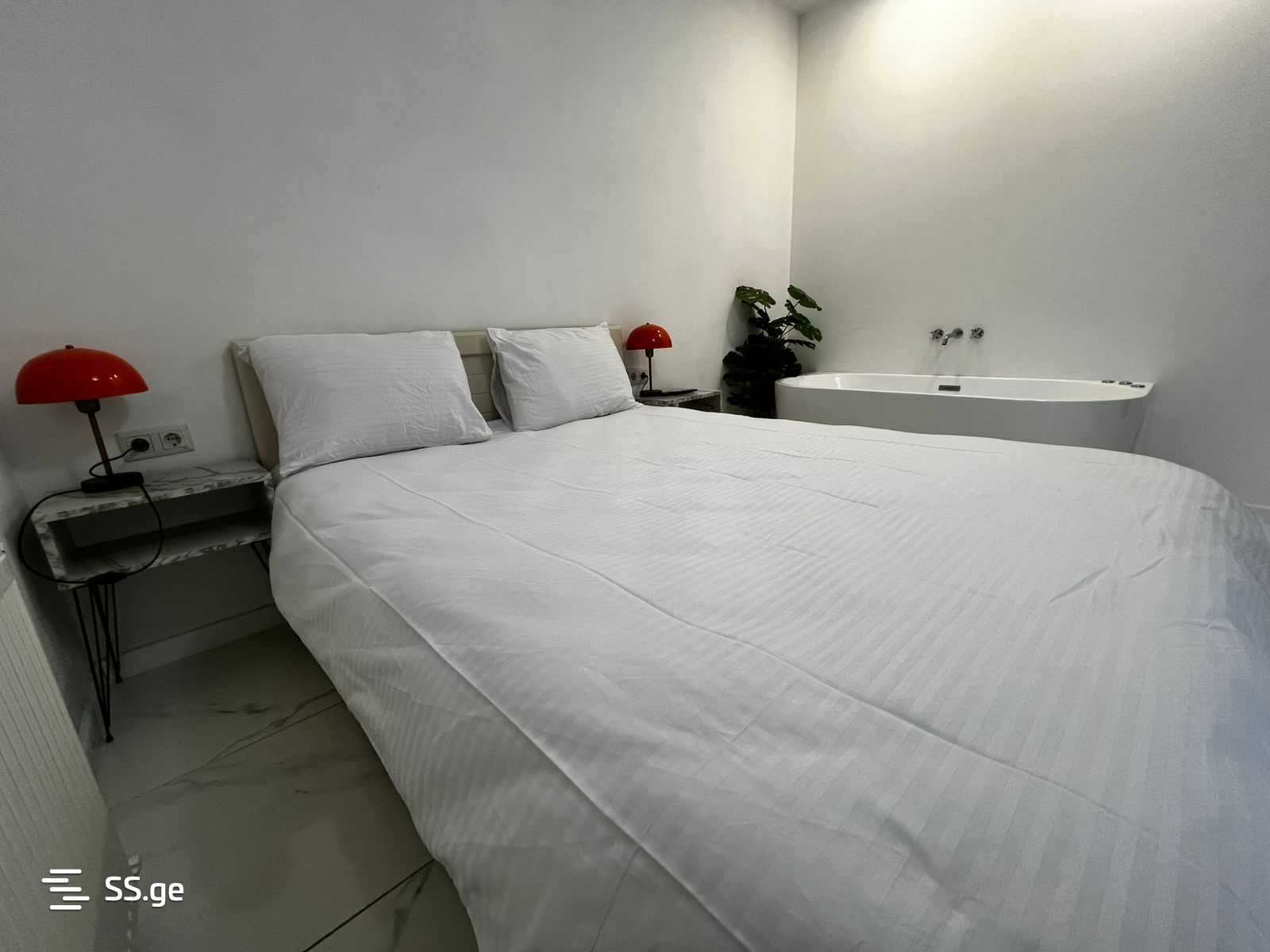 1 room Flat Daily rent. Isani - Ansicht 2