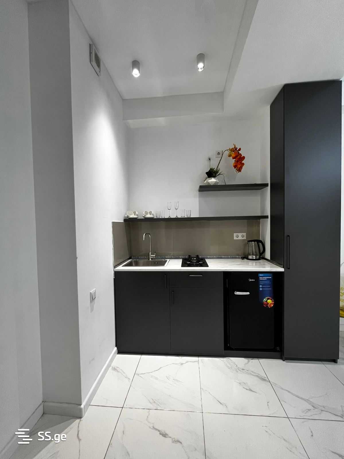 1 room Flat Daily rent. Isani - Ansicht 4