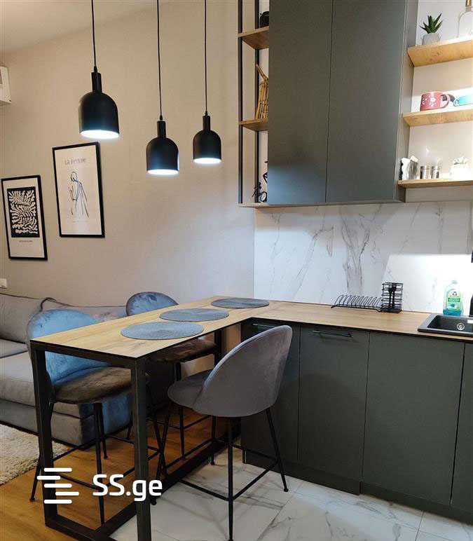 2 Room Flat Daily Rent. Chugureti, 1 of 4