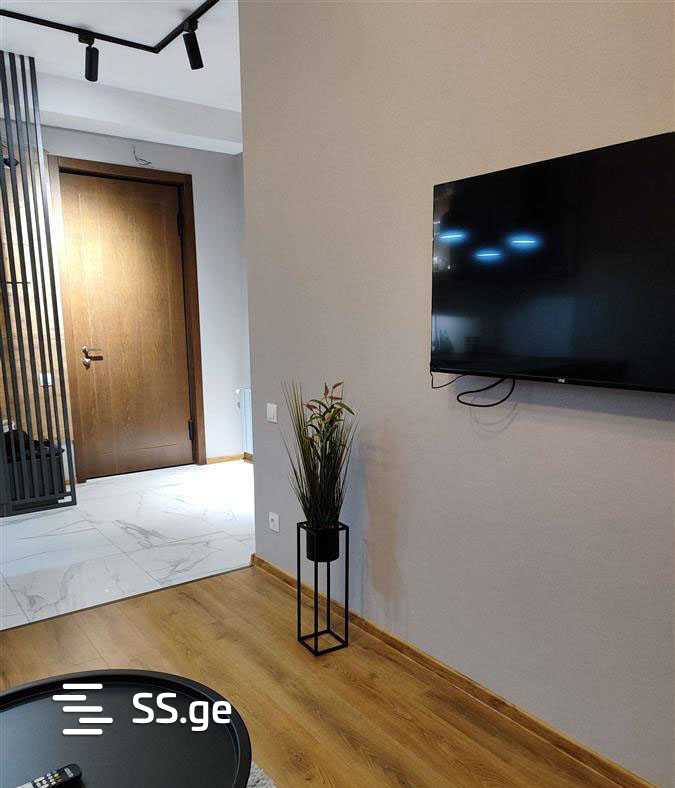 2 Room Flat Daily Rent. Chugureti, 2 of 4