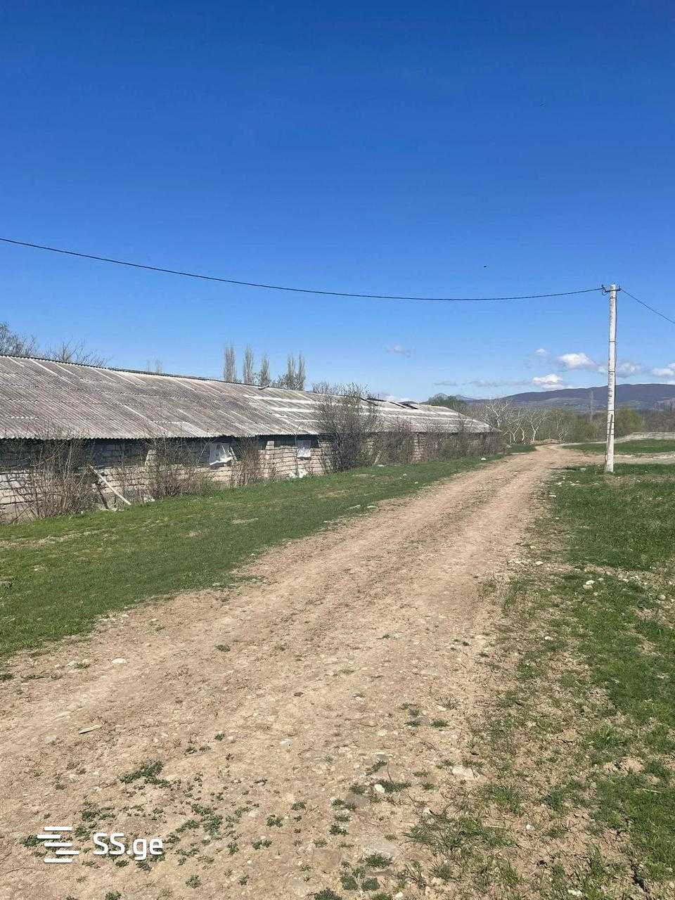 Store-Industrial Property For Sale. Mtskheta, 3 of 4
