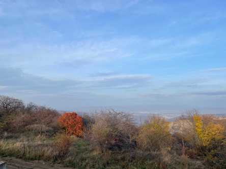 Land For Sale. Betania