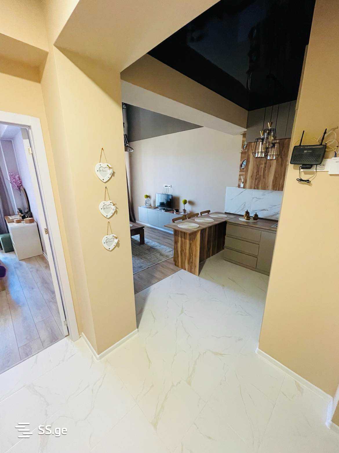 2 room Flat Daily rent. Isani - Widok 3