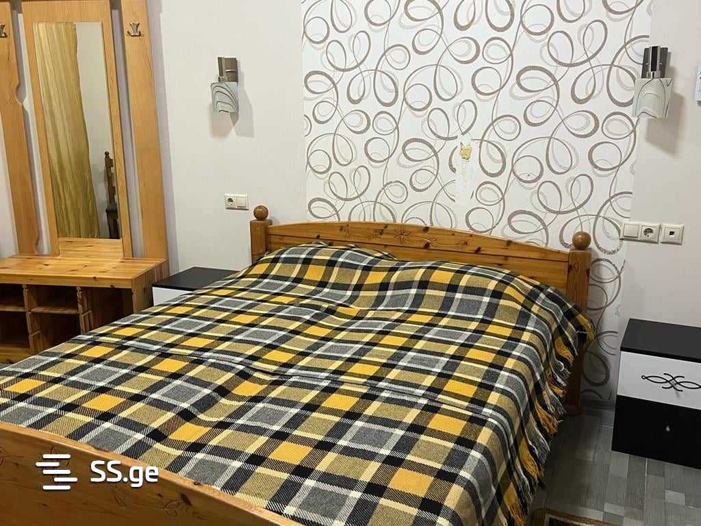 6 Room Private House For Rent. Mtskheta view 12