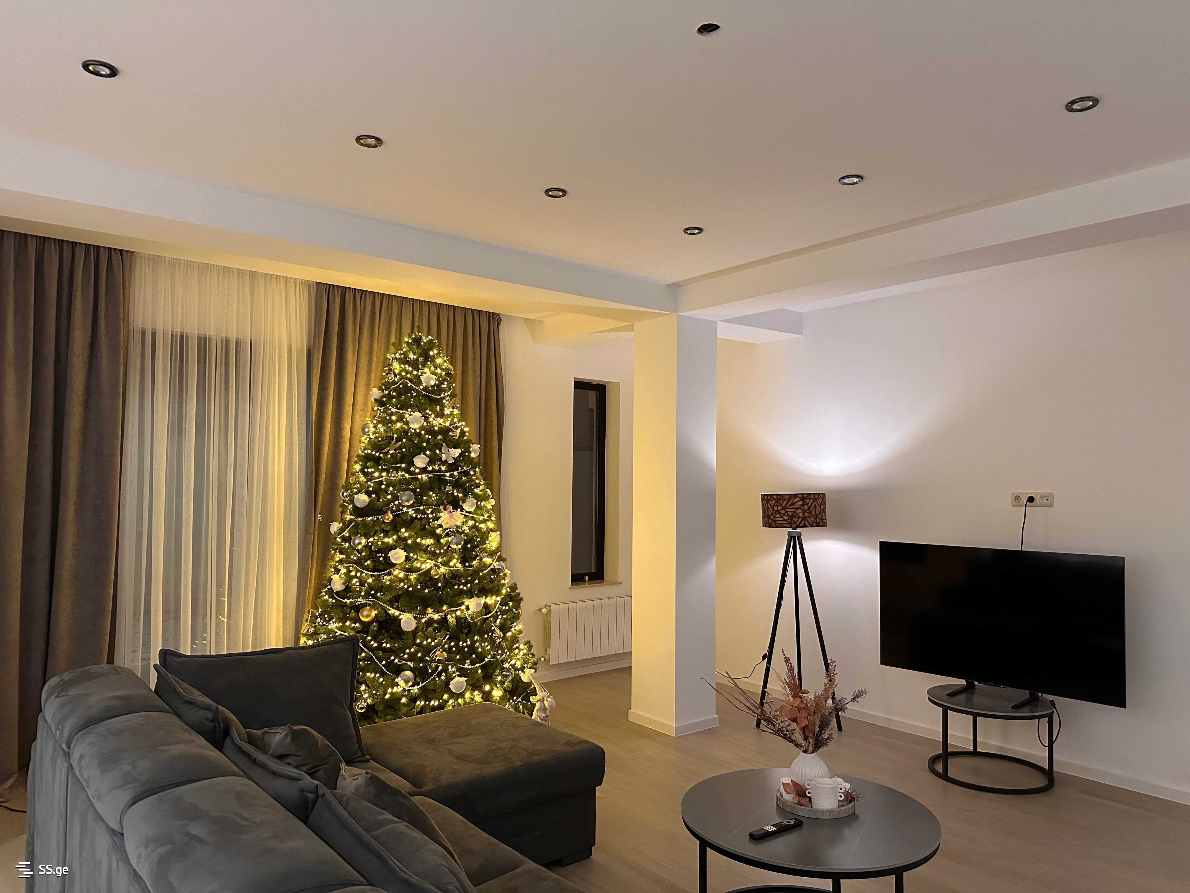 8 Room Private House For Rent. Lisi Lake view 28
