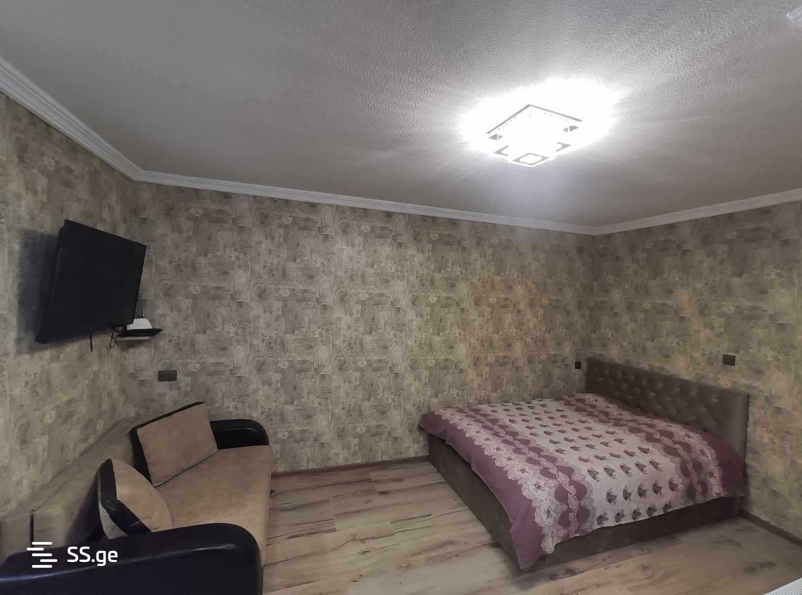 1 Room Flat For Rent. Mtskheta view 3