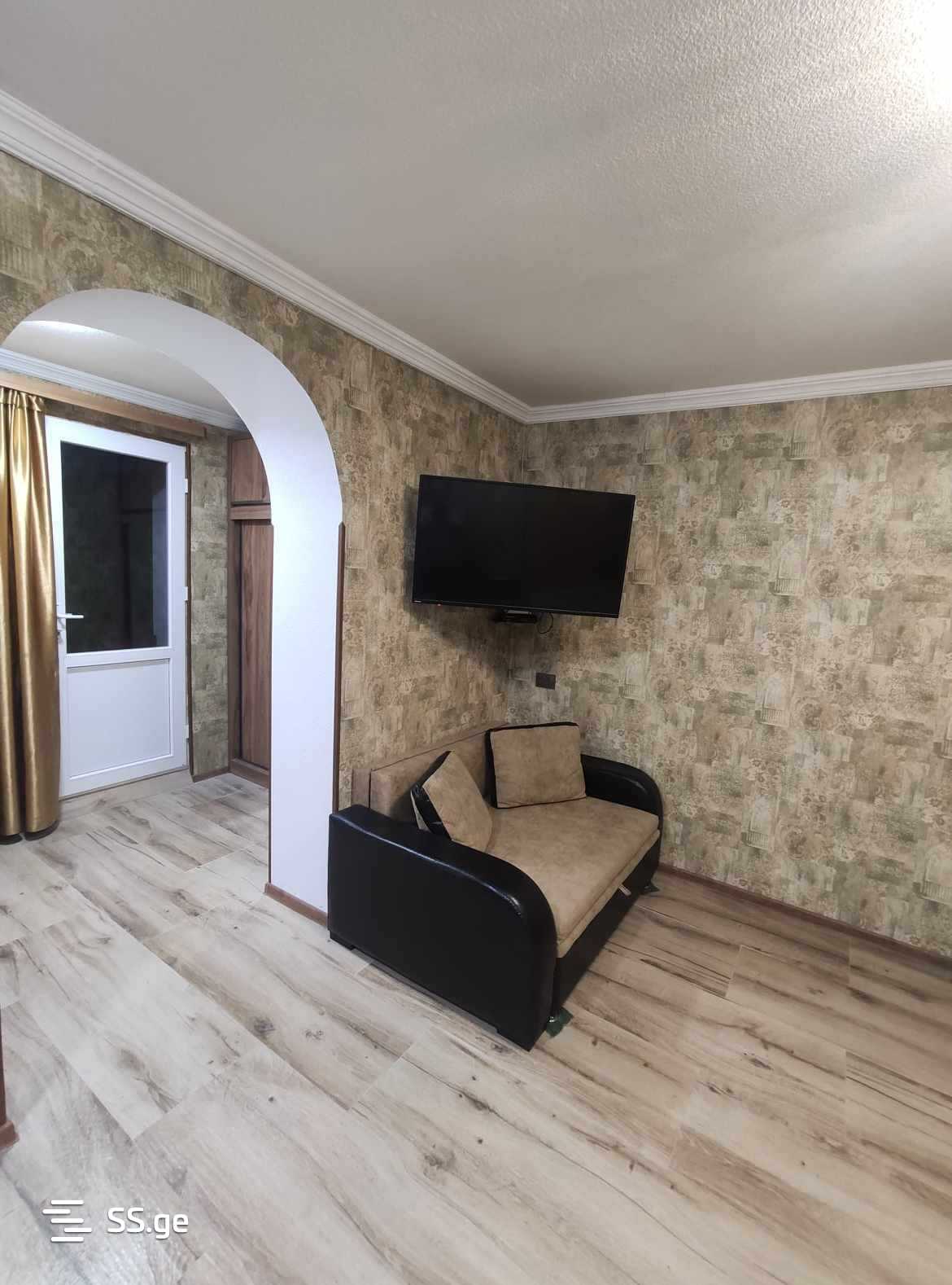 1 Room Flat For Rent. Mtskheta view 1