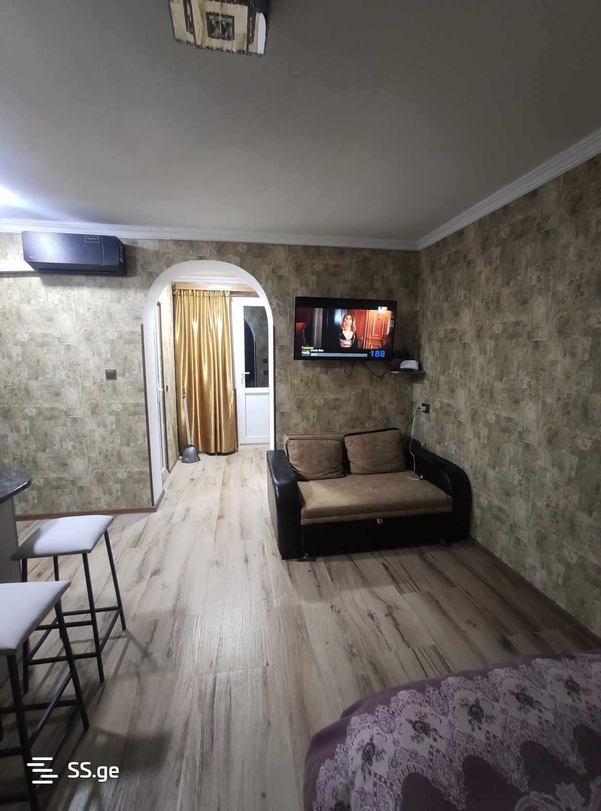 1 Room Flat For Rent. Mtskheta view 5