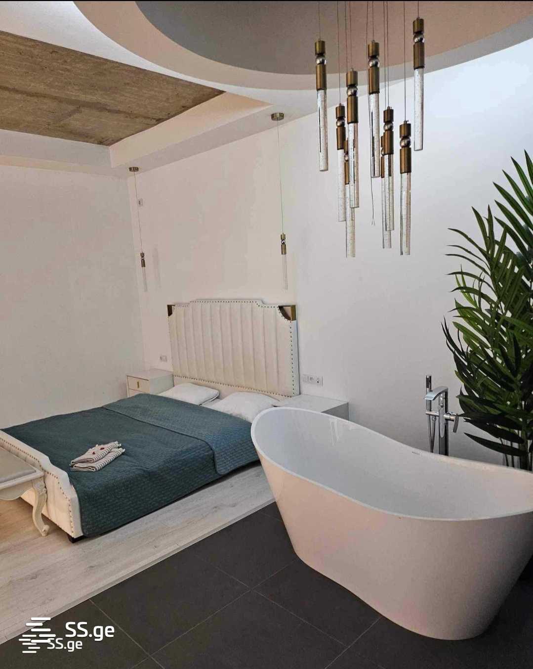 6 Room Private House Daily Rent. Didi Digomi, 7 of 12