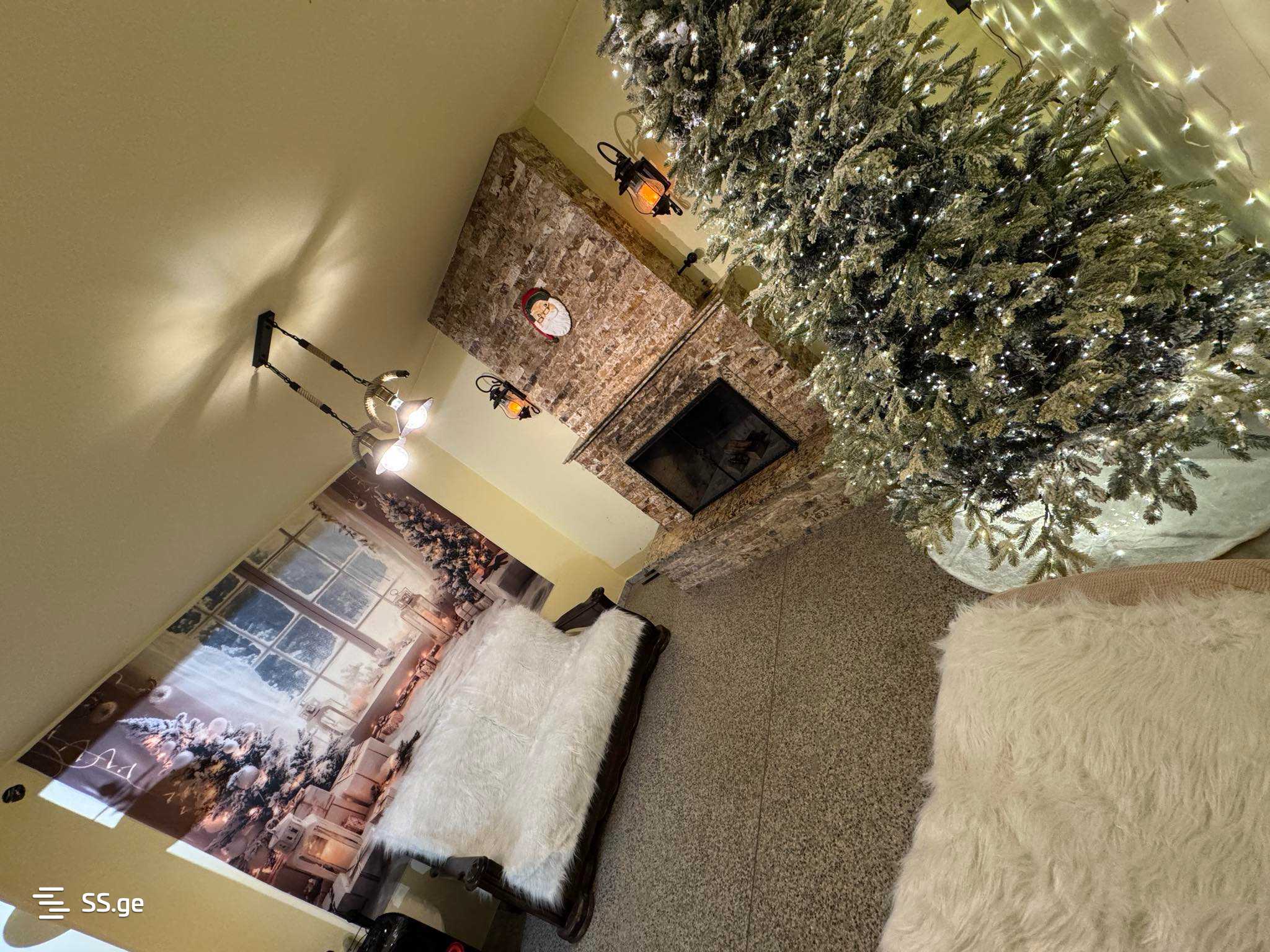 7 Room Private House For Rent. Saguramo view 8