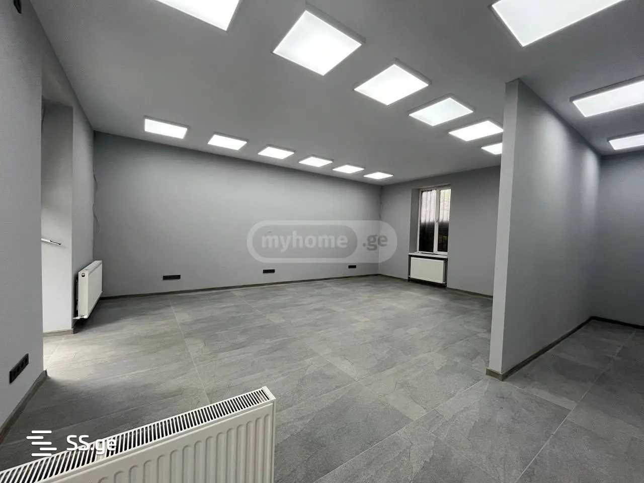 Commercial Space For Rent. Nadzaladevi view 6