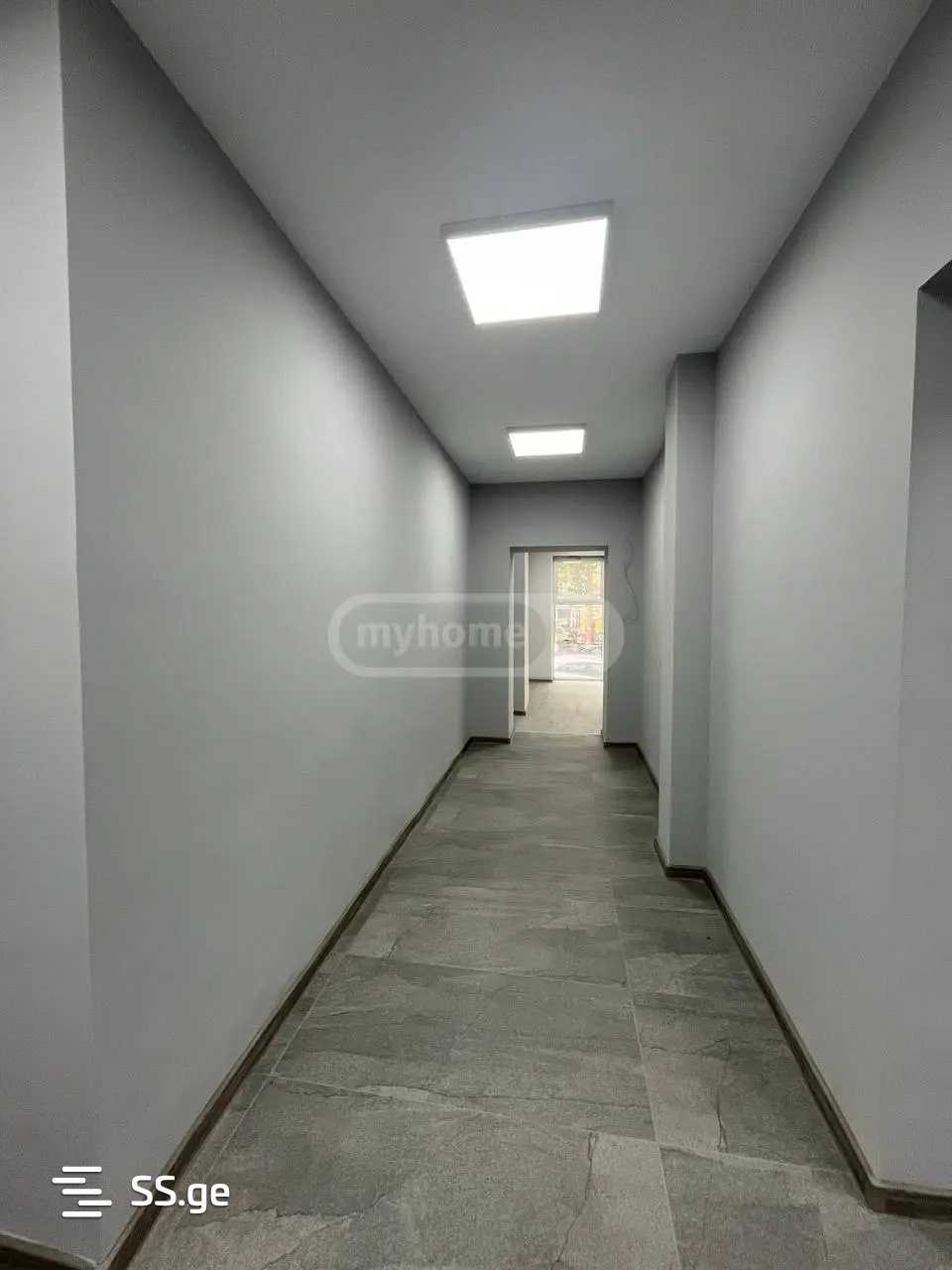 Commercial Space For Rent. Nadzaladevi, 3 of 4