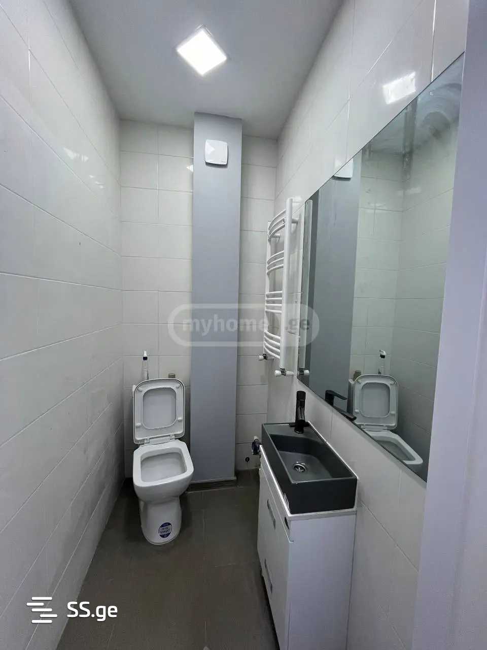 Commercial Space For Rent. Nadzaladevi view 4