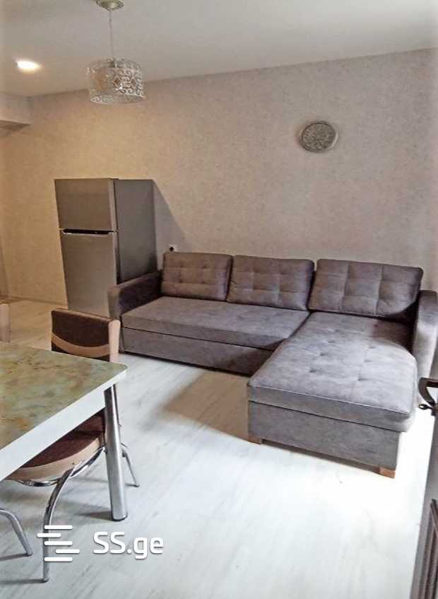 2 Room Flat Daily Rent. Bakuriani view 12