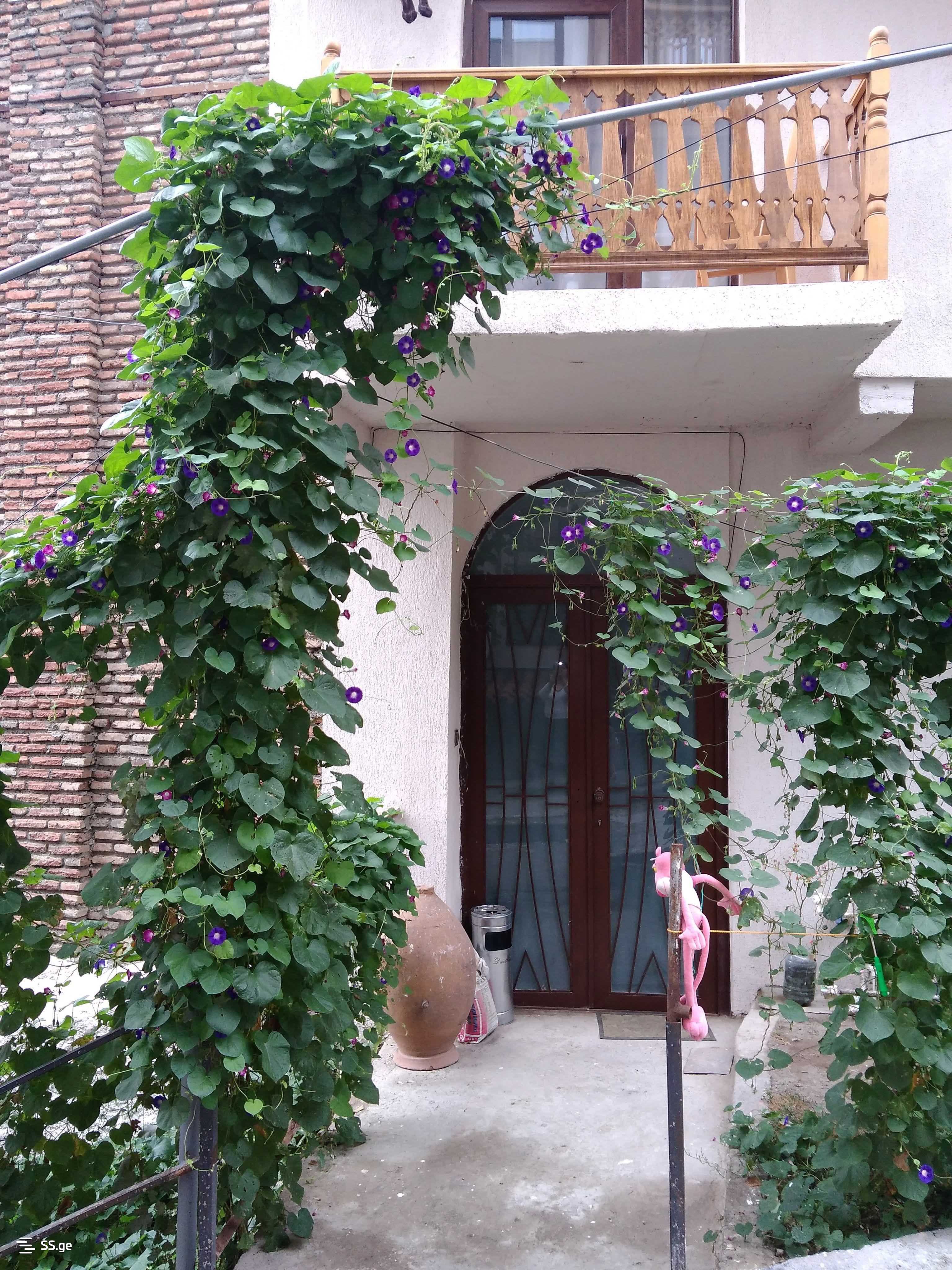 8 Room Hotel For Rent. Ortachala, 1 of 12