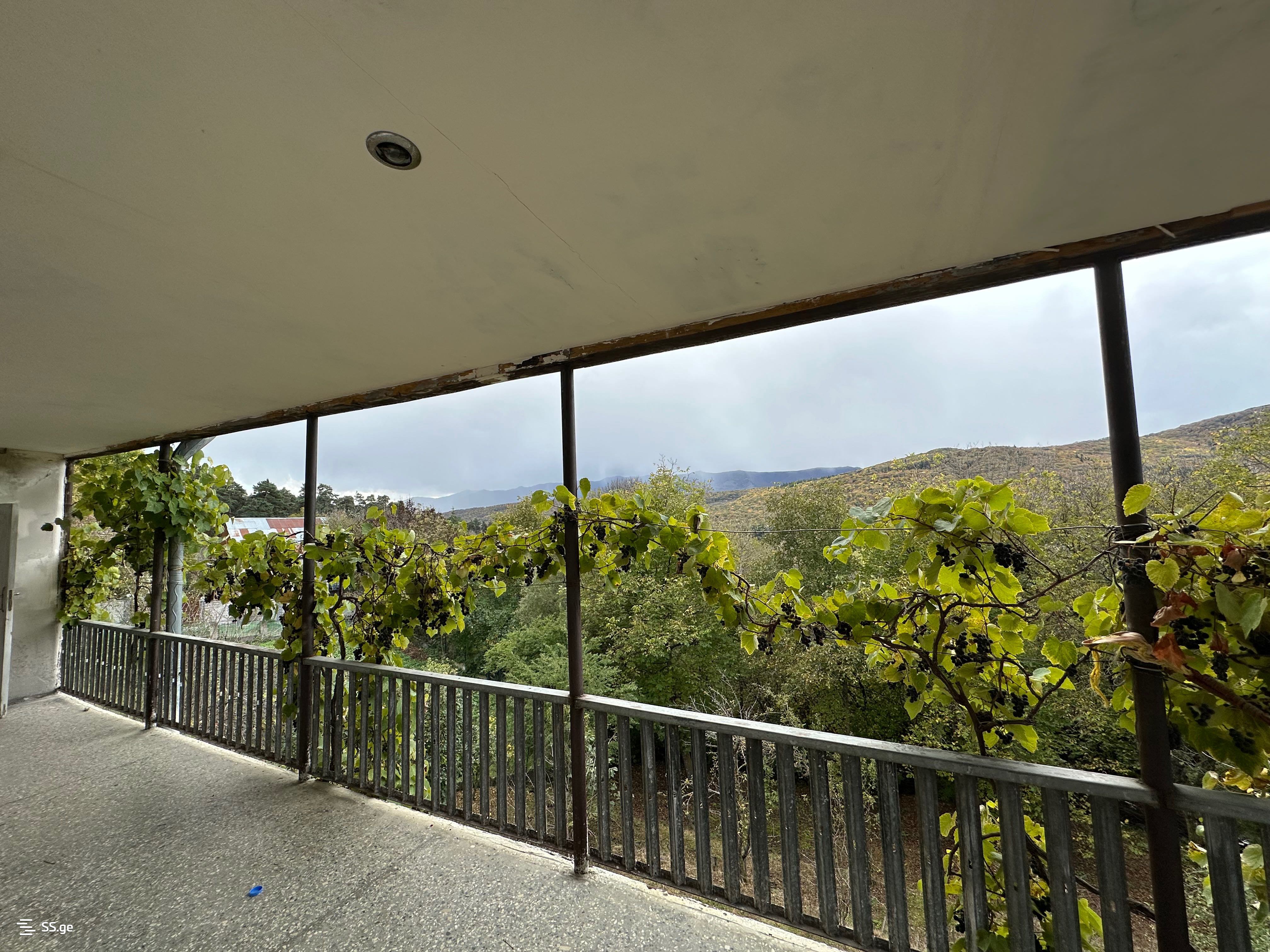 7 Room Summer Cottage For Sale view 5