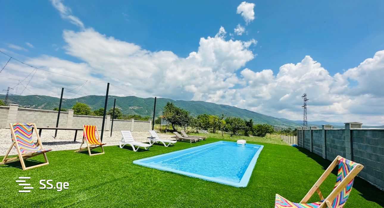 3 Room Private House Daily Rent. Natakhtari view 9
