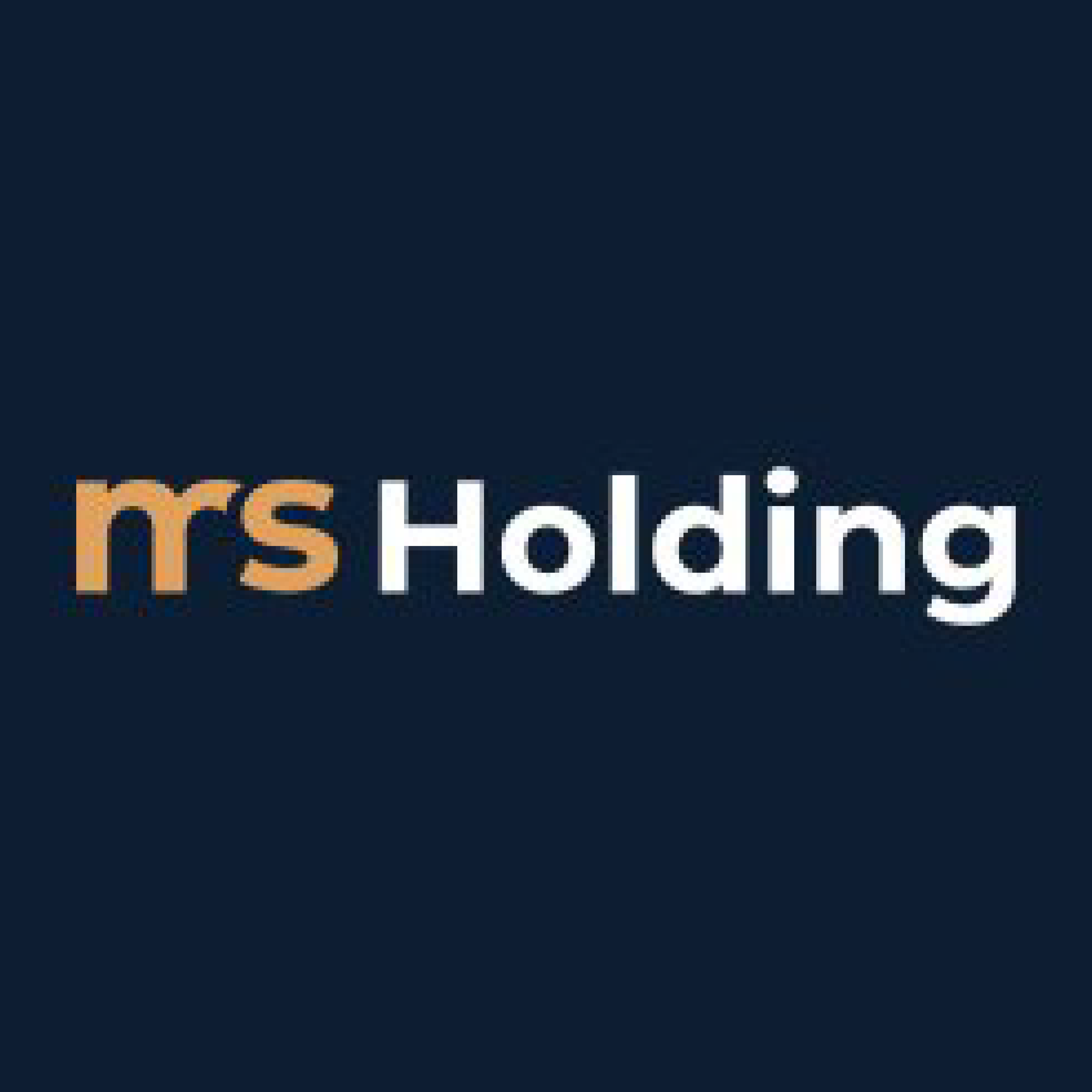 MS Holding