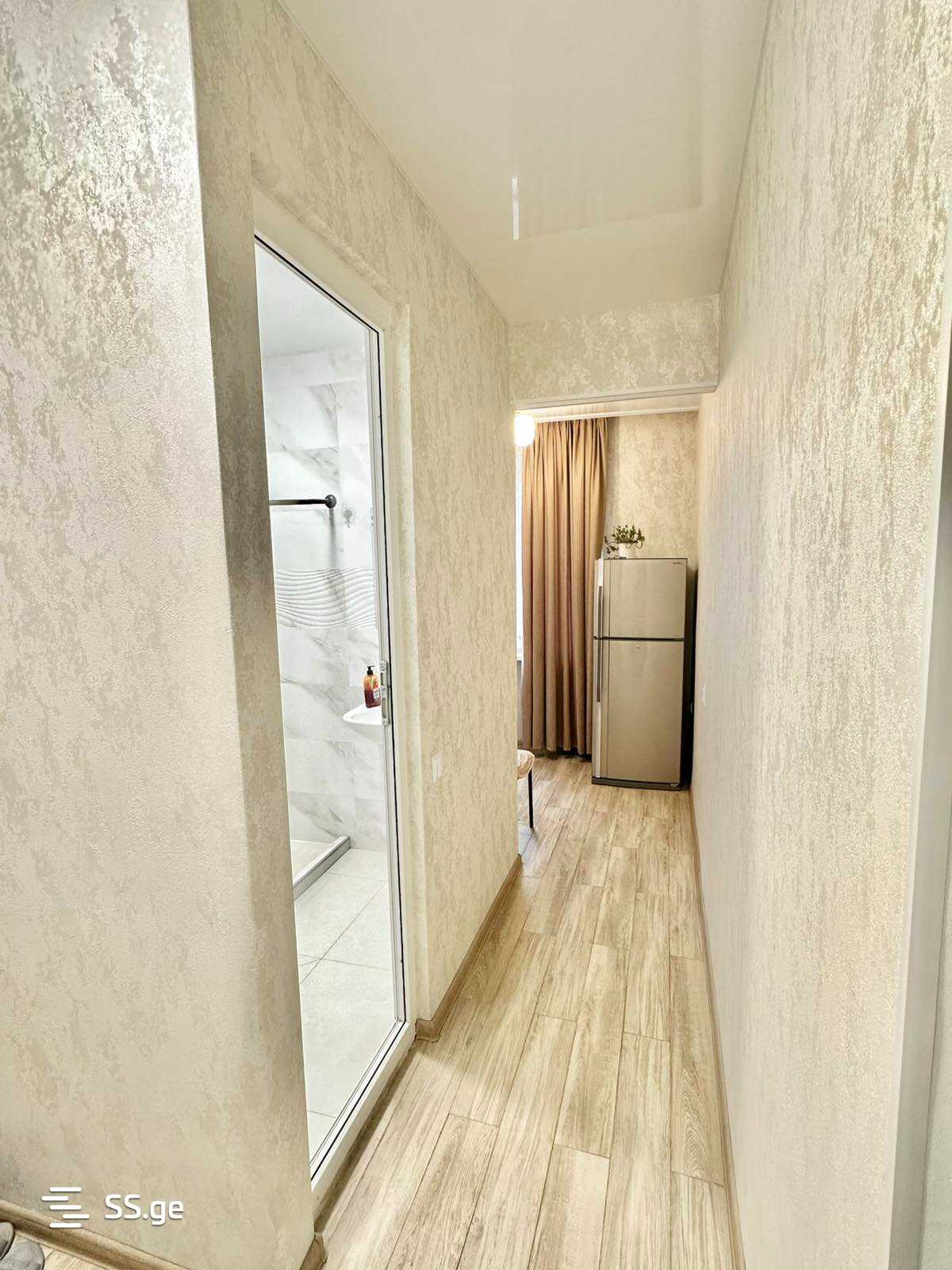 1 Room Flat Daily Rent. Rustavi view 4