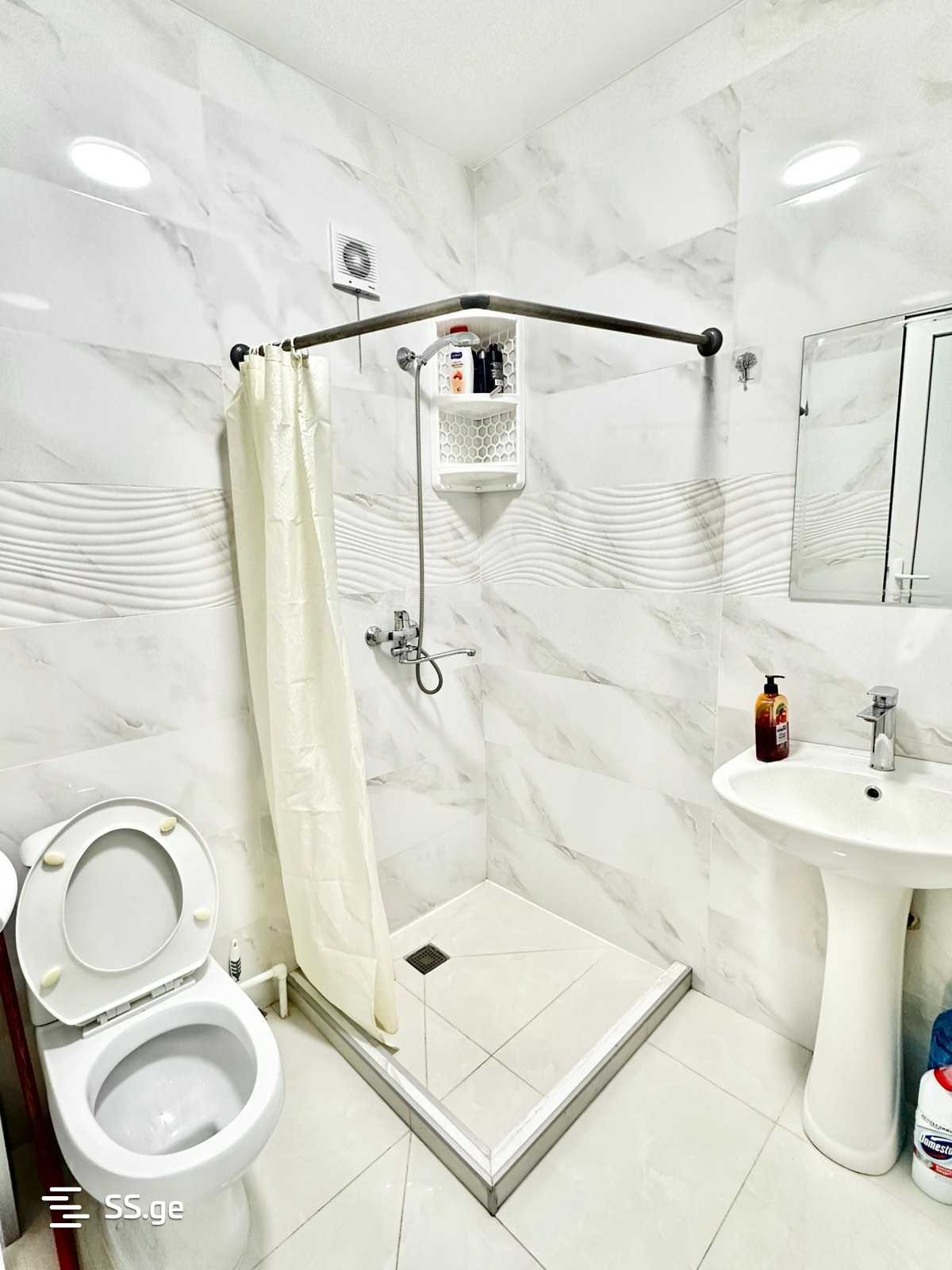 1 Room Flat Daily Rent. Rustavi view 6
