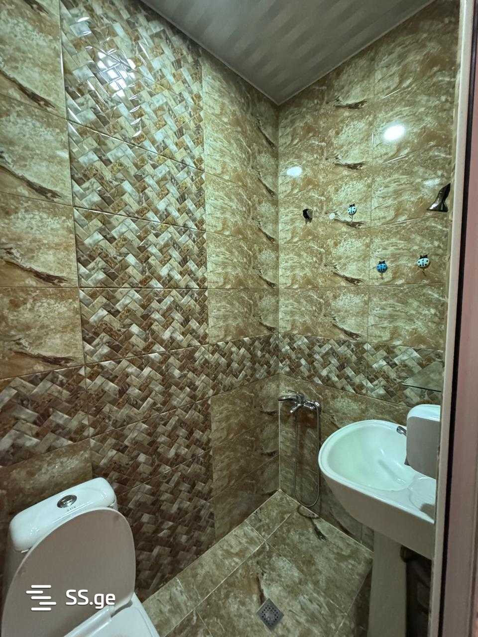 27 Room Hotel For Rent. Batumi view 8