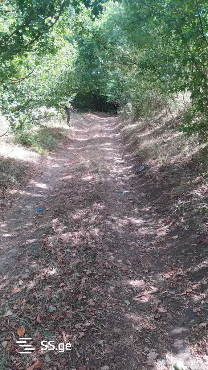 Land For Sale. Manglisi view 6