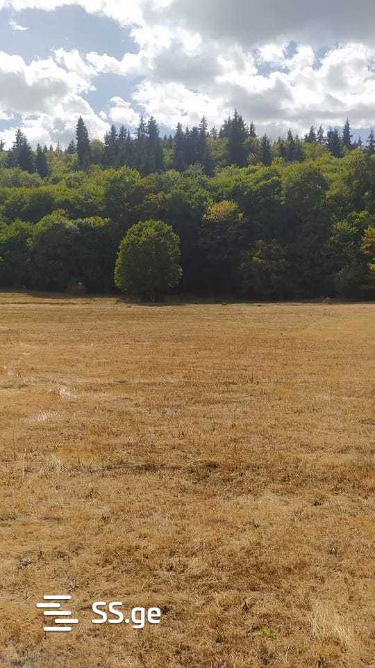 Land For Sale. Manglisi view 3