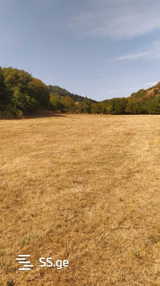 Land For Sale. Manglisi view 4