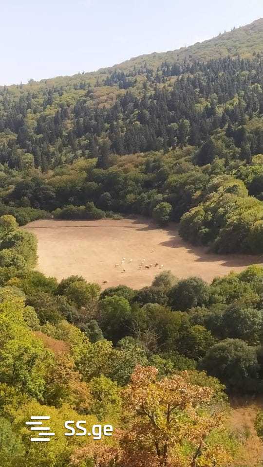 Land For Sale. Manglisi view 1