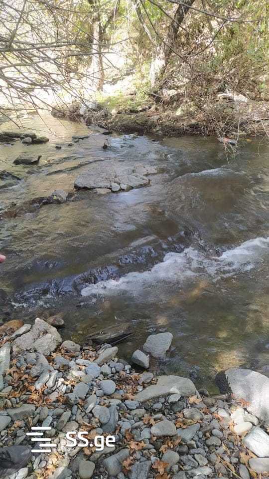 Land For Sale. Manglisi view 2