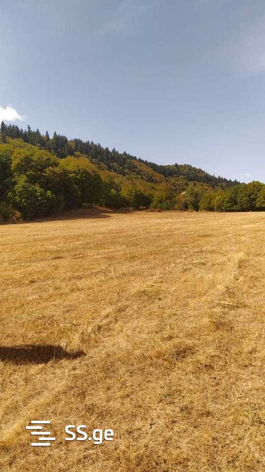 Land For Sale. Manglisi view 5