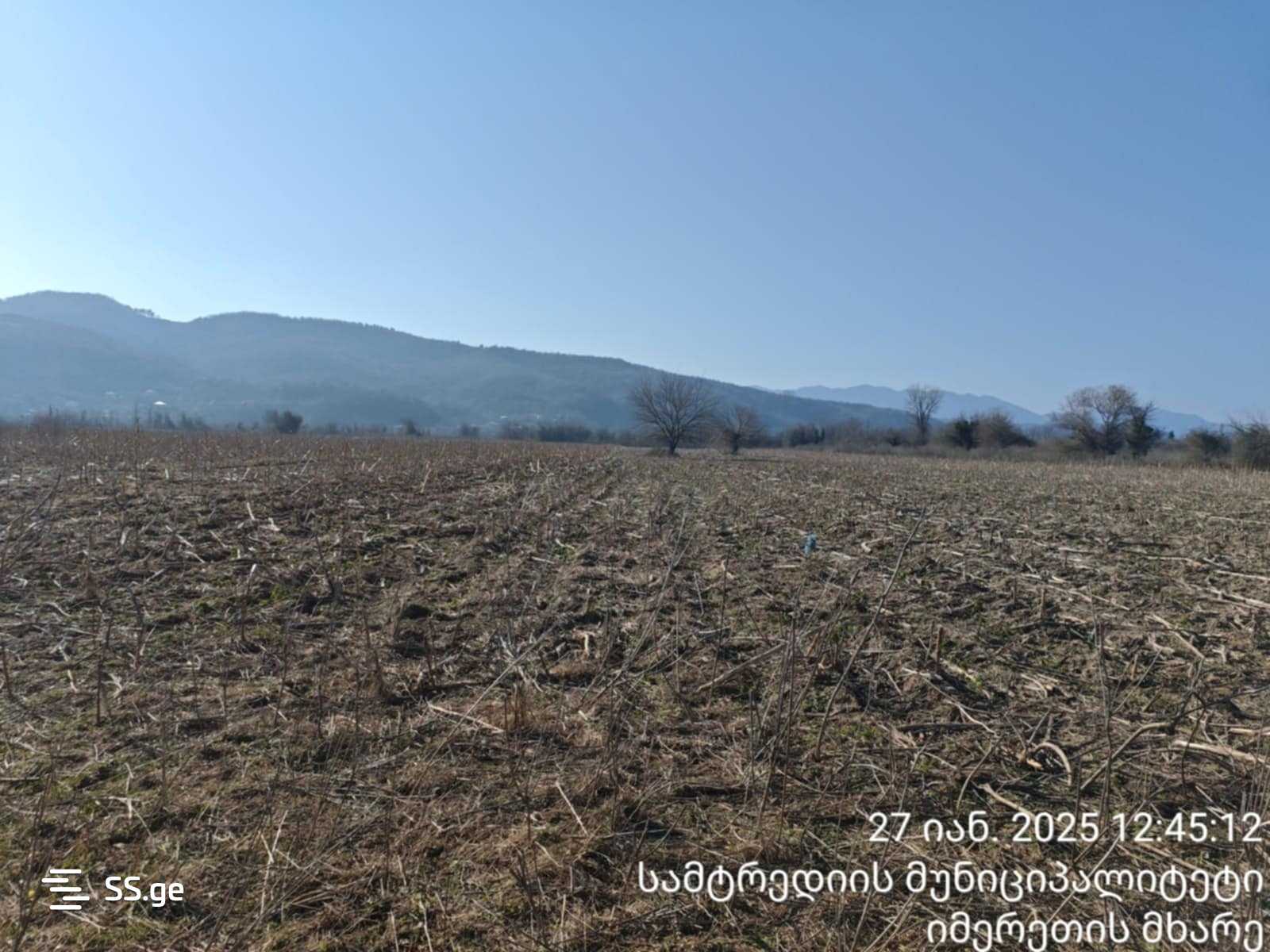 For Sale Sasoplo-Sameurneo Land Plot Samtrediashi view 8