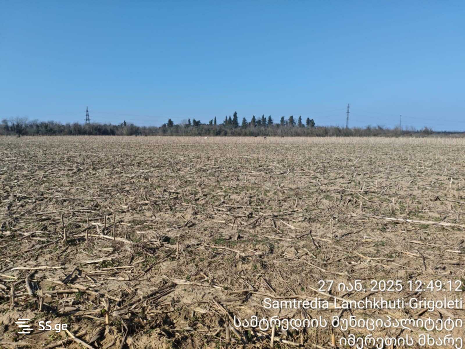 For Sale Sasoplo-Sameurneo Land Plot Samtrediashi view 7