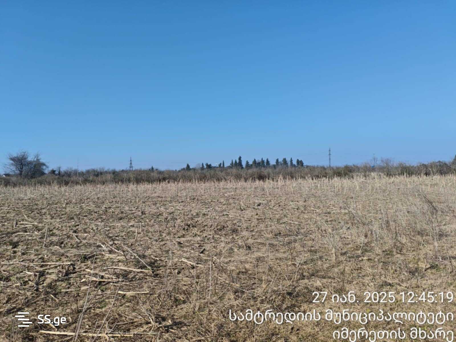 For Sale Sasoplo-Sameurneo Land Plot Samtrediashi view 6