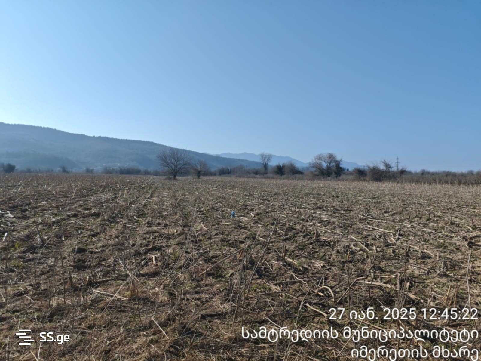 For Sale Sasoplo-Sameurneo Land Plot Samtrediashi view 9