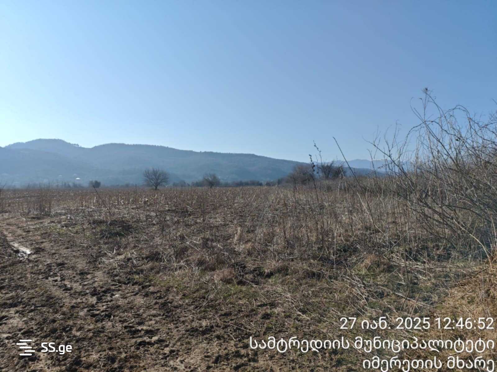 For Sale Sasoplo-Sameurneo Land Plot Samtrediashi view 8